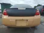 2003 DODGE Neon