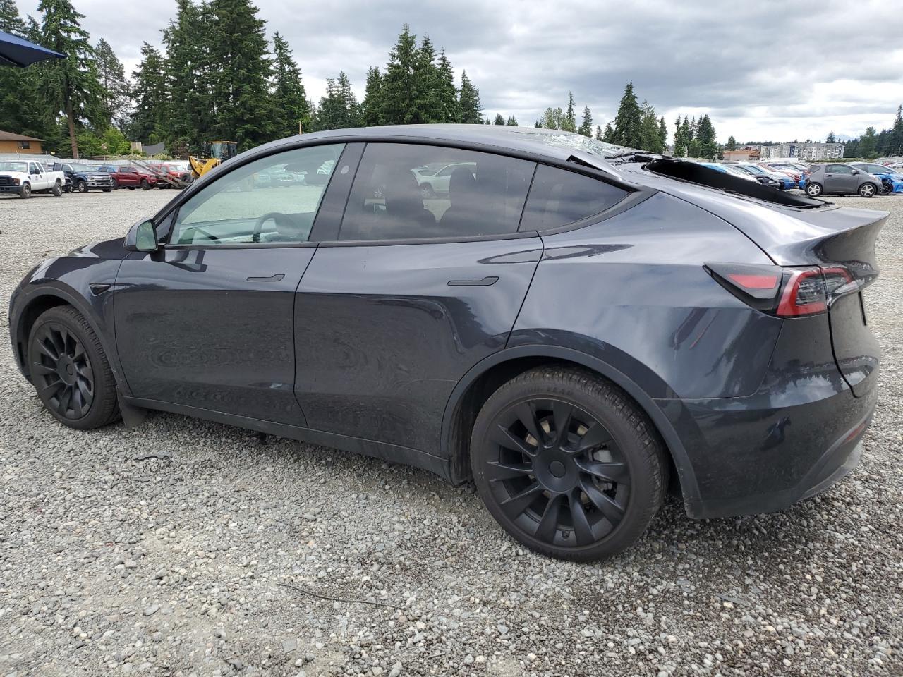 2024 TESLA MODEL Y