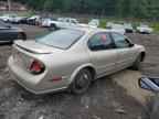 2001 NISSAN Maxima