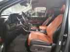 2024 KIA Carnival