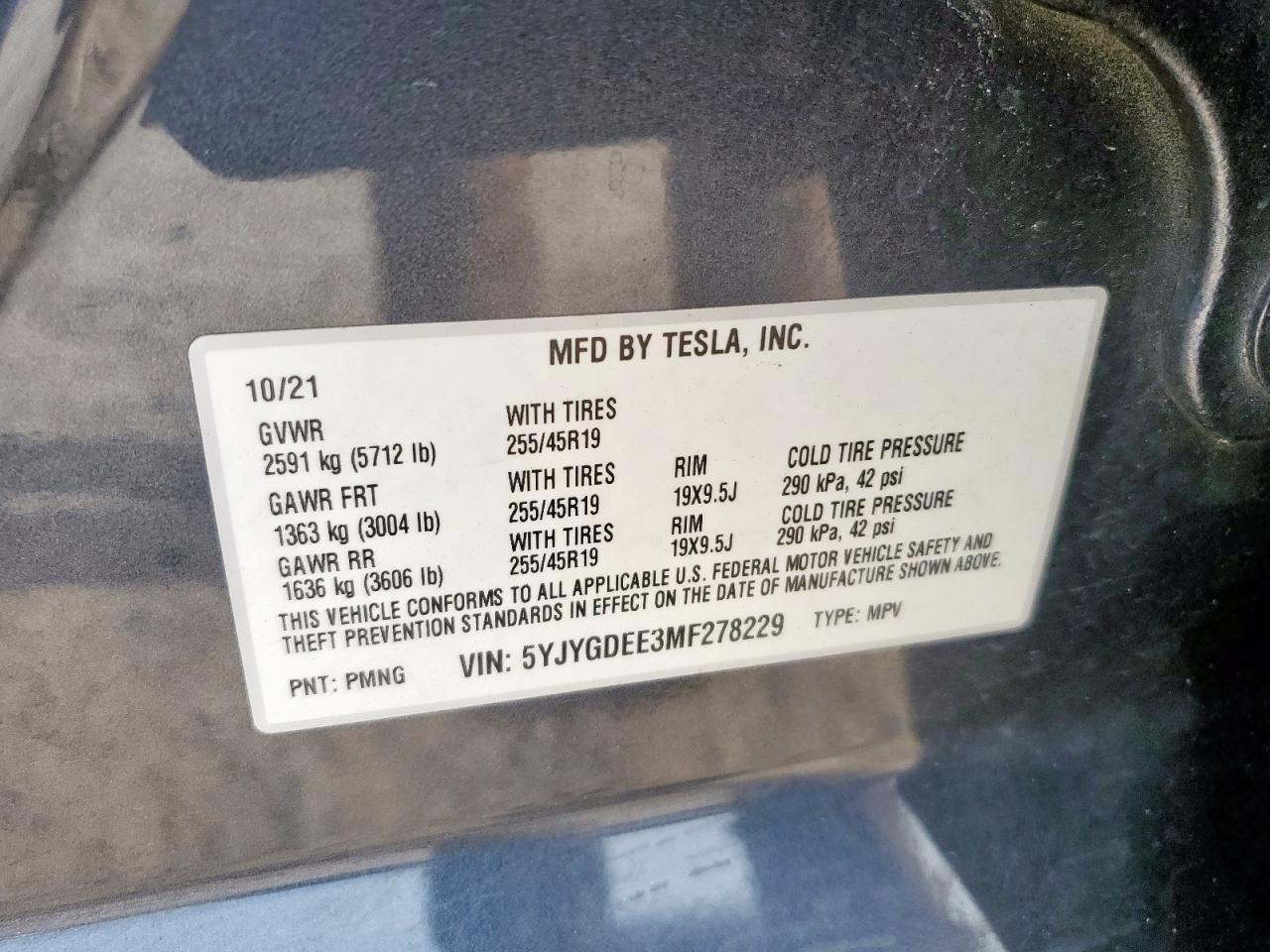 2021 TESLA MODEL Y