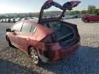 2010 HONDA Insight