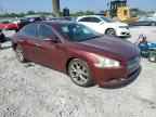 2010 NISSAN Maxima