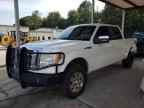 2009 FORD F-150