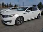 2013 KIA Optima Hybrid