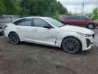 2023 CADILLAC CT5