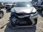 2024 LEXUS Nx
