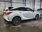 2024 LEXUS RX 350