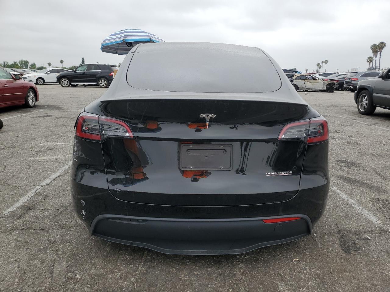 2024 TESLA MODEL Y