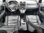 2010 HONDA CR-V