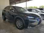 2019 LEXUS NX 300