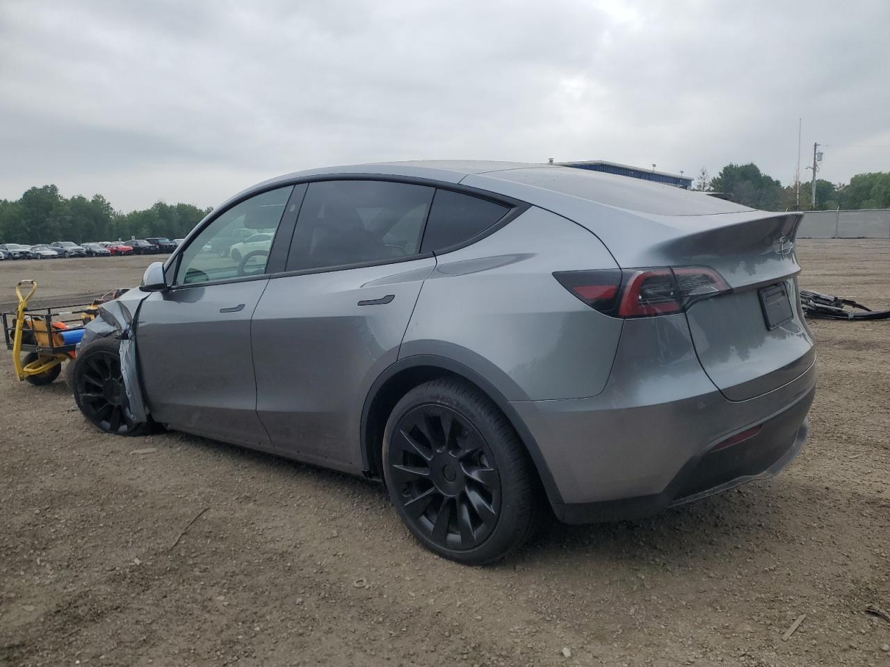 2024 TESLA MODEL Y
