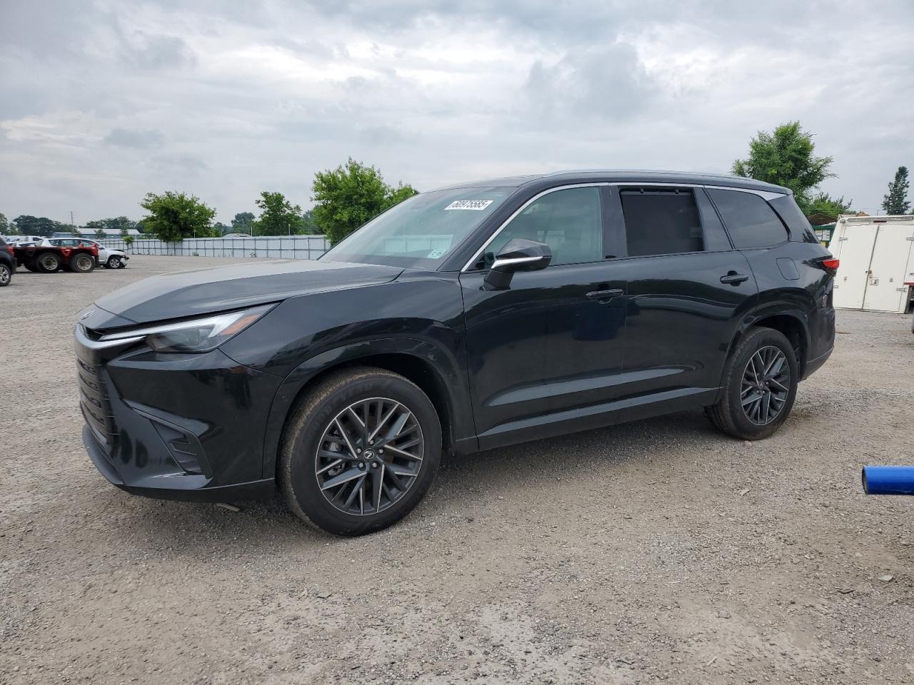 2024 LEXUS Tx