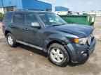 2009 FORD ESCAPE