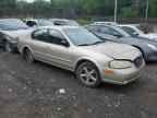 2001 NISSAN Maxima