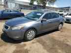 2010 HONDA ACCORD
