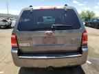 2009 FORD ESCAPE