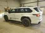 2024 TOYOTA Sequoia
