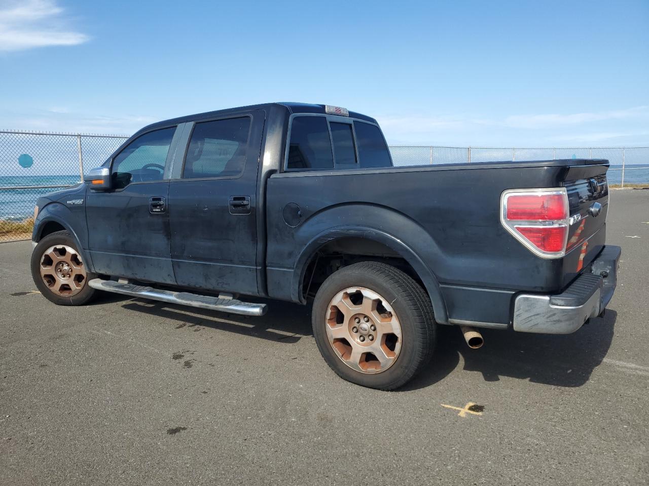 2009 FORD F-150