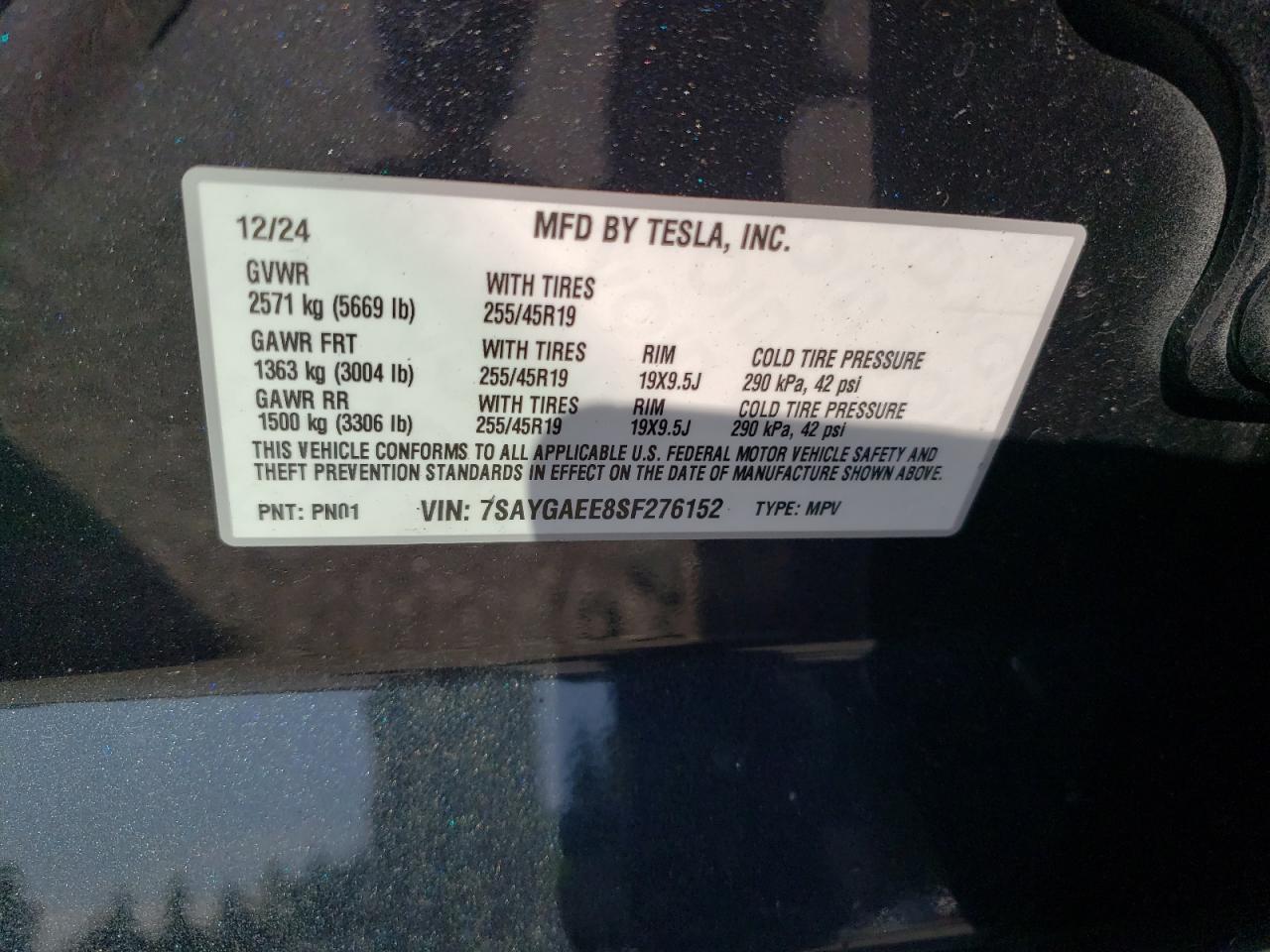 2025 TESLA MODEL Y