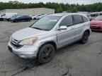2010 HONDA CR-V