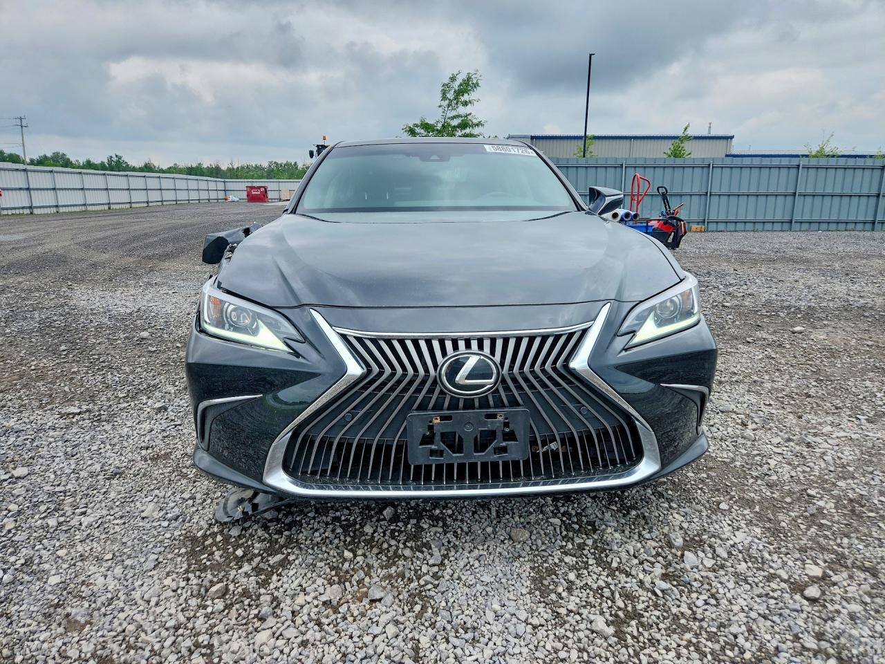 2019 LEXUS ES 350