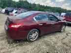 2010 NISSAN Maxima