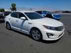 2015 KIA Optima Hybrid