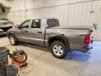 2010 DODGE Dakota