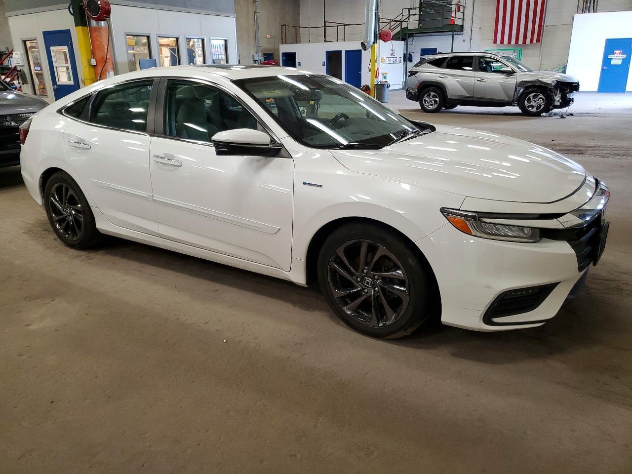 2019 HONDA Insight