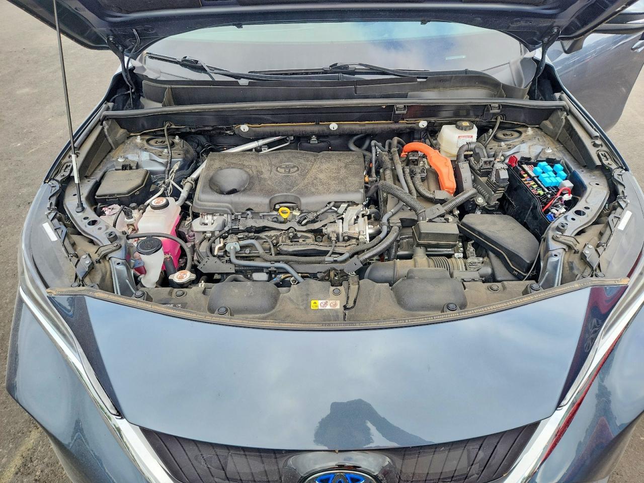 2022 TOYOTA VENZA