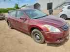 2010 NISSAN ALTIMA
