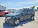 2008 FORD ESCAPE