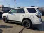 2023 TOYOTA 4Runner