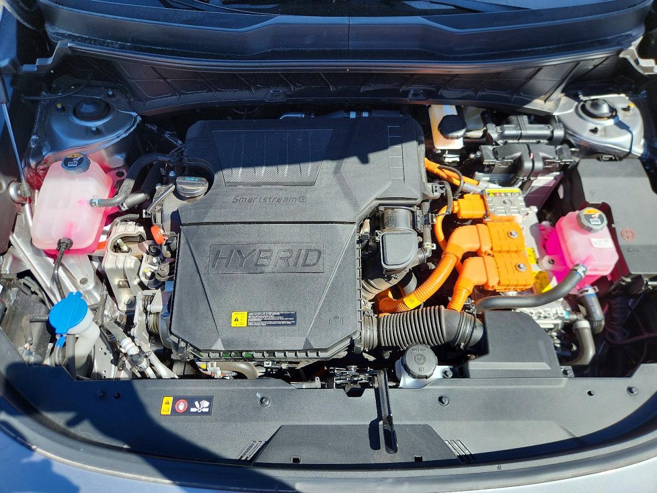 2026 KIA Niro