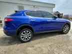 2017 MASERATI Levante