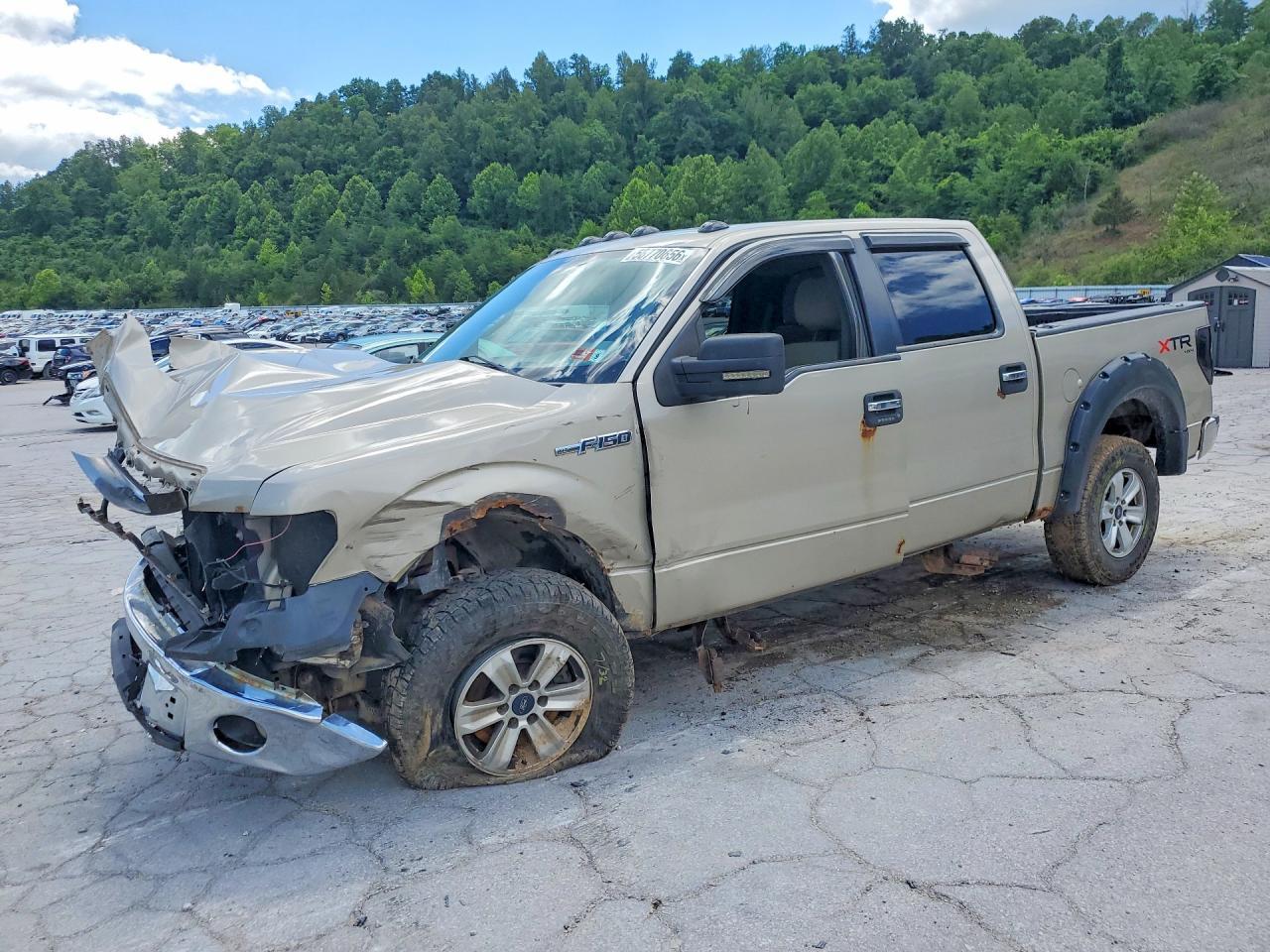 2010 FORD F-150 Lightning