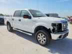 2013 FORD F-150 Lightning