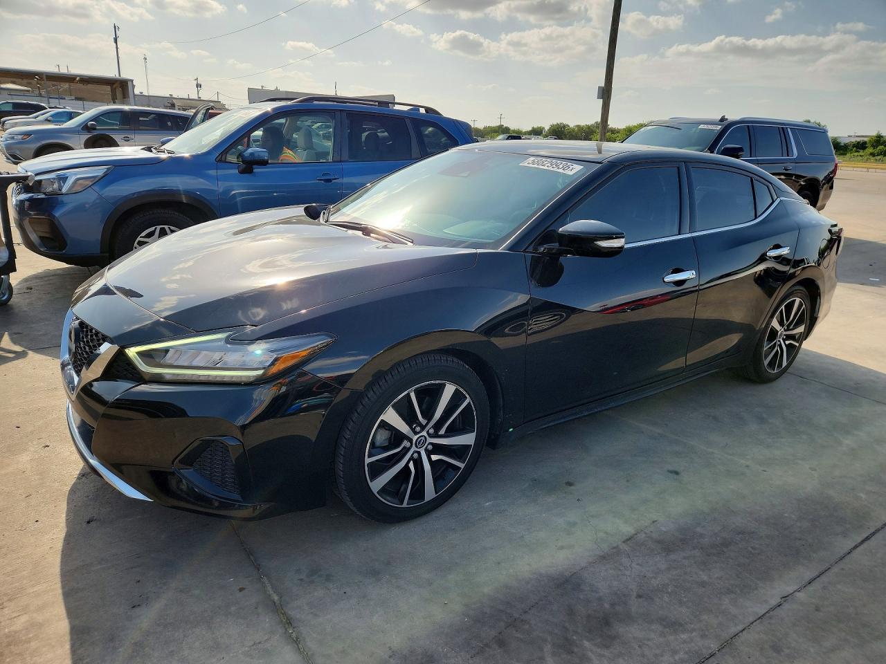 2023 NISSAN Maxima