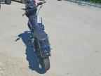 2001 HARLEY-DAVIDSON FXD