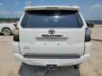 2024 TOYOTA 4Runner