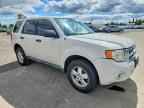 2010 FORD ESCAPE