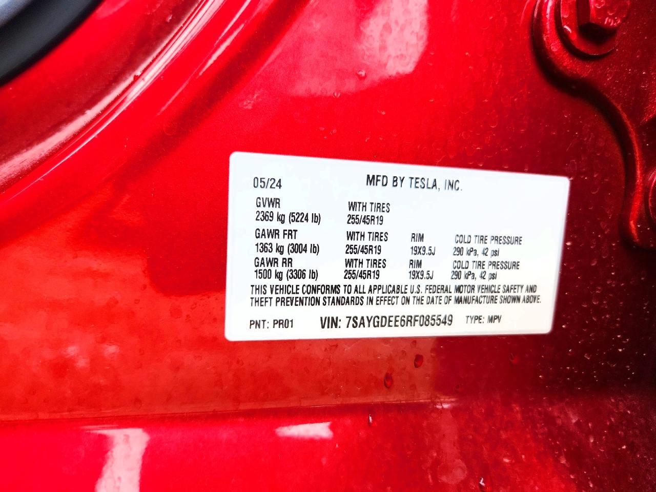 2024 TESLA Model Y