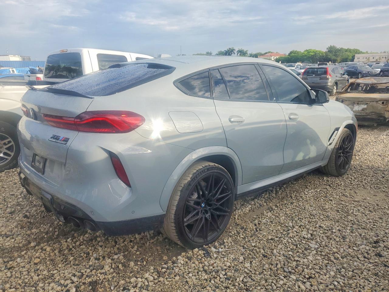 2025 BMW X6