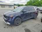 2025 KIA Carnival