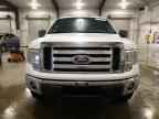 2010 FORD F-150 Lightning