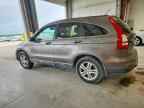 2010 HONDA CR-V