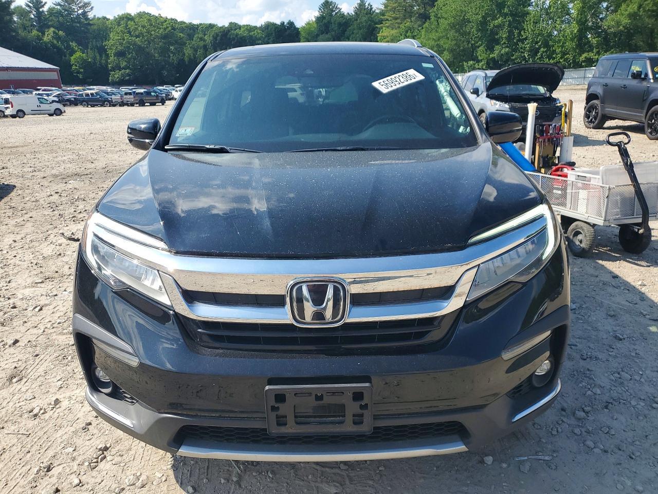 2019 HONDA PILOT