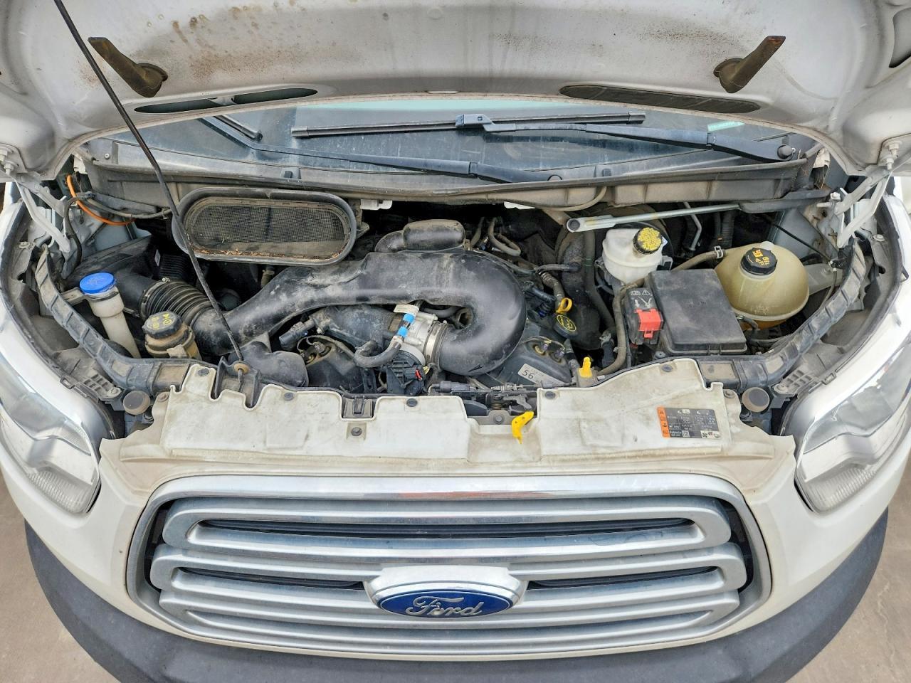 2019 FORD Transit