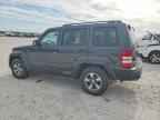 2010 JEEP Liberty